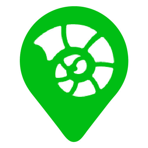 File:Compass Icon Shell.png