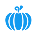 Sturdysquash Sample icon